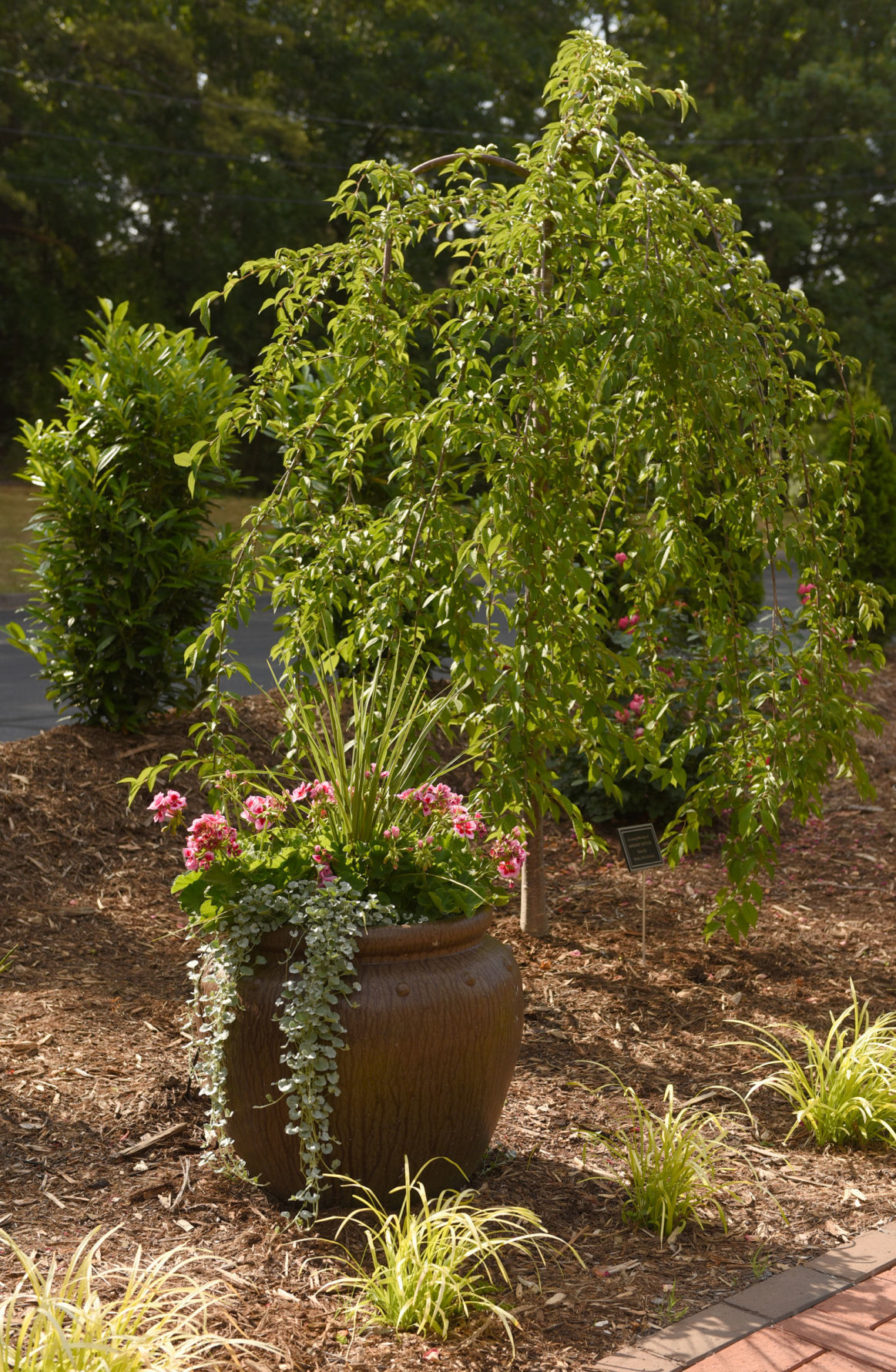 Christ Wesleyan Church prayer garden